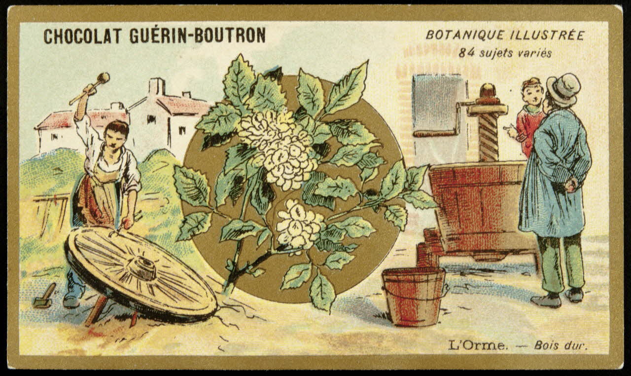 Testu & Massin carte réclame chromo Paris 1900-1903 1995.1.854.49 Photo