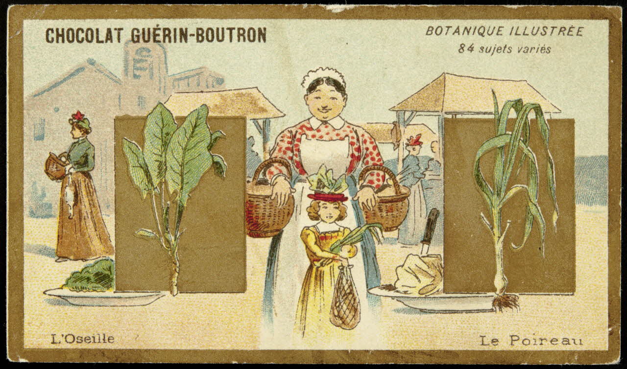 Testu & Massin carte réclame chromo Paris 1900-1903 1995.1.854.50 Photo