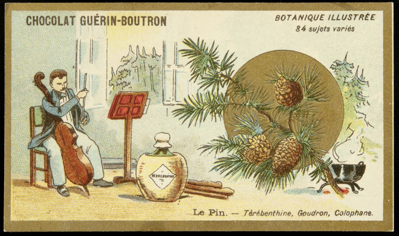 Testu & Massin carte réclame chromo Paris 1900-1903 1995.1.854.52 Photo