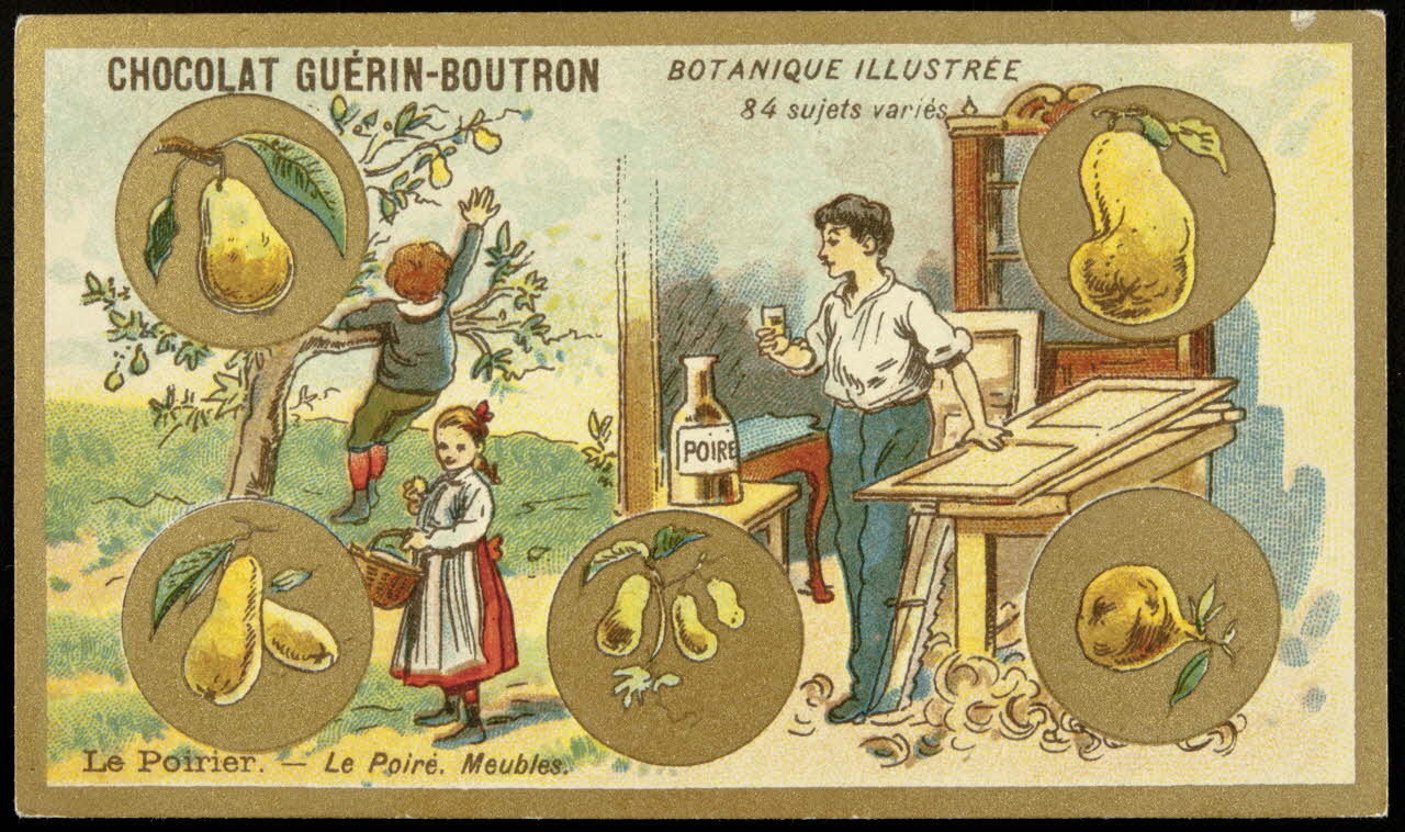 Testu & Massin carte réclame chromo Paris 1900-1903 1995.1.854.53 Photo