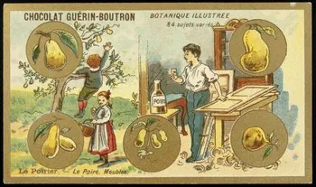 Testu & Massin carte réclame chromo Paris 1900-1903 1995.1.854.53  Photo
