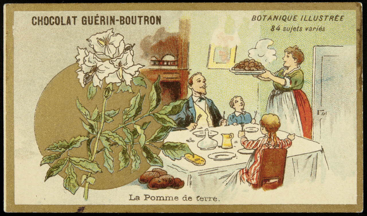 Testu & Massin carte réclame chromo Paris 1900-1903 1995.1.854.54 Photo