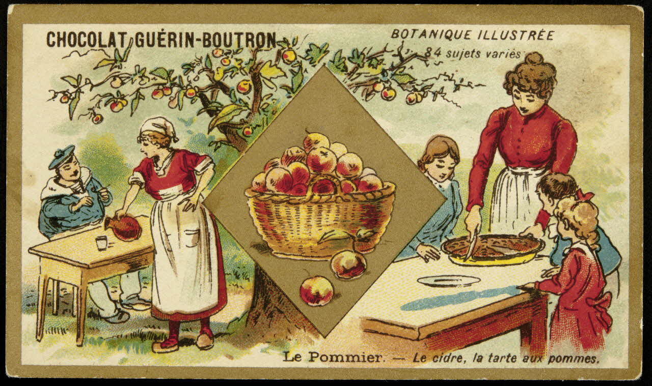 Testu & Massin carte réclame chromo Paris 1900-1903 1995.1.854.55 Photo