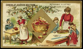 Testu & Massin carte réclame chromo Paris 1900-1903 1995.1.854.55 Photo