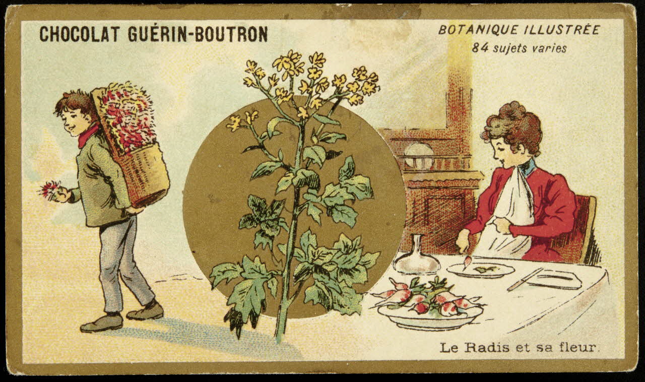 Testu & Massin carte réclame chromo Paris 1900-1903 1995.1.854.59 Photo