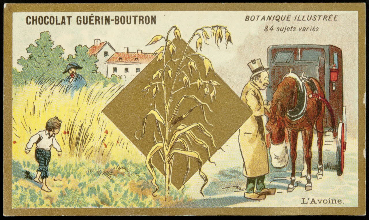 Testu & Massin carte réclame chromo Paris 1900-1903 1995.1.854.6 Photo