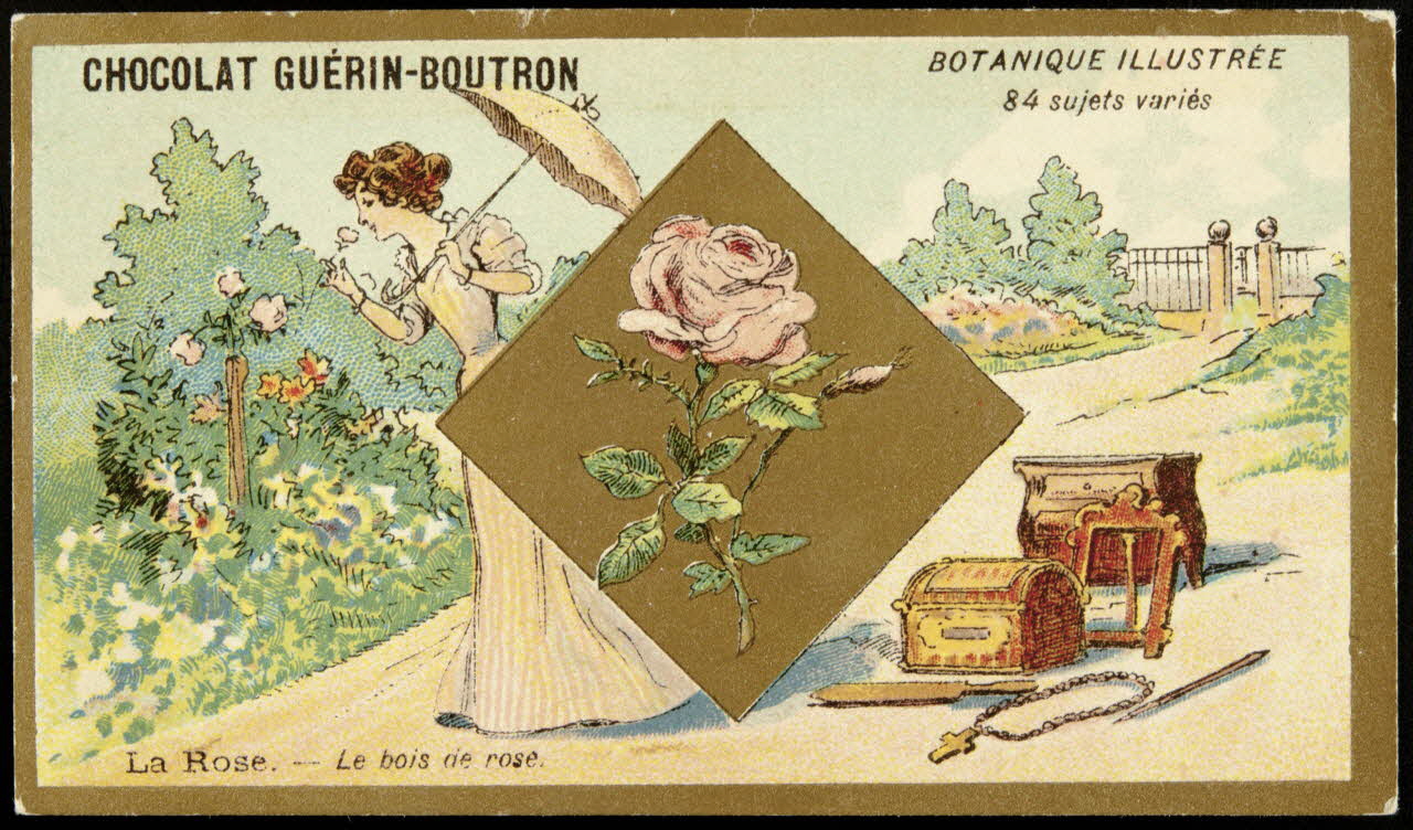 Testu & Massin carte réclame chromo Paris 1900-1903 1995.1.854.63 Photo