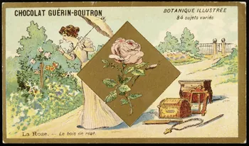 Testu & Massin carte réclame chromo Paris 1900-1903 1995.1.854.63  Photo
