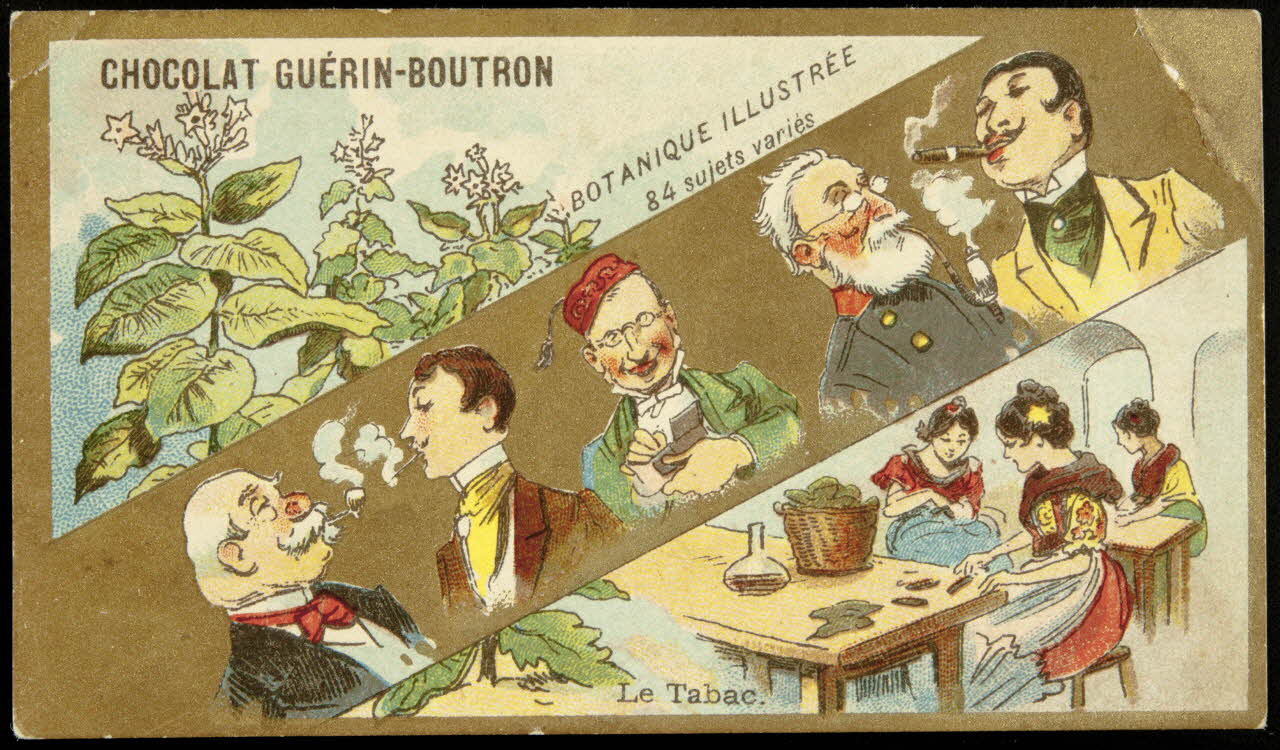 Testu & Massin carte réclame chromo Paris 1900-1903 1995.1.854.66 Photo