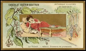 Testu & Massin carte réclame chromo Paris 1900-1903 1995.1.854.68 Photo