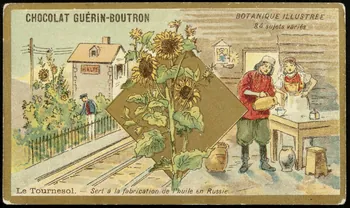 Testu & Massin carte réclame chromo Paris 1900-1903 1995.1.854.69 Photo