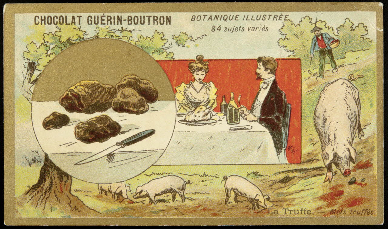 Testu & Massin carte réclame chromo Paris 1900-1903 1995.1.854.71 Photo