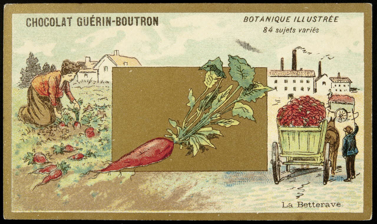 Testu & Massin carte réclame chromo Paris 1900-1903 1995.1.854.8 Photo