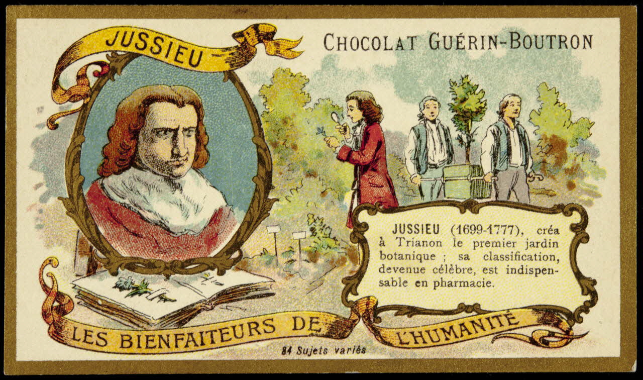 Testu & Massin carte réclame chromo Paris 1900-1903 1995.1.855.39 Photo