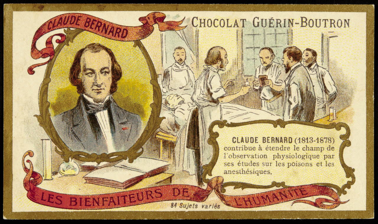 Testu & Massin carte réclame chromo Paris 1900-1903 1995.1.855.4 Photo