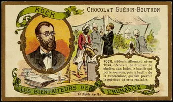 Testu & Massin carte réclame chromo Paris 1900-1903 1995.1.855.42 Photo