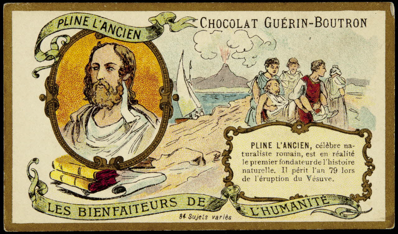 Testu & Massin carte réclame chromo Paris 1900-1903 1995.1.855.64 Photo