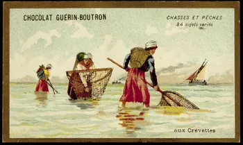 Testu & Massin carte réclame chromo Paris 1889 1995.1.859.21 Photo