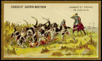 Testu & Massin carte réclame chromo Paris 1889 1995.1.859.51 Photo