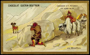 Testu & Massin carte réclame chromo Paris 1889 1995.1.859.57  Photo
