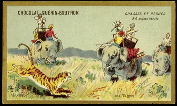 Testu & Massin carte réclame chromo Paris 1889-1903 1995.1.859.78  Photo