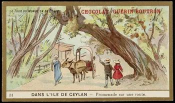 Testu & Massin carte réclame chromo Paris 1900-1903 1995.1.860.31  Photo