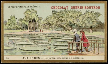 Testu & Massin carte réclame chromo Paris 1900-1903 1995.1.860.35 Photo