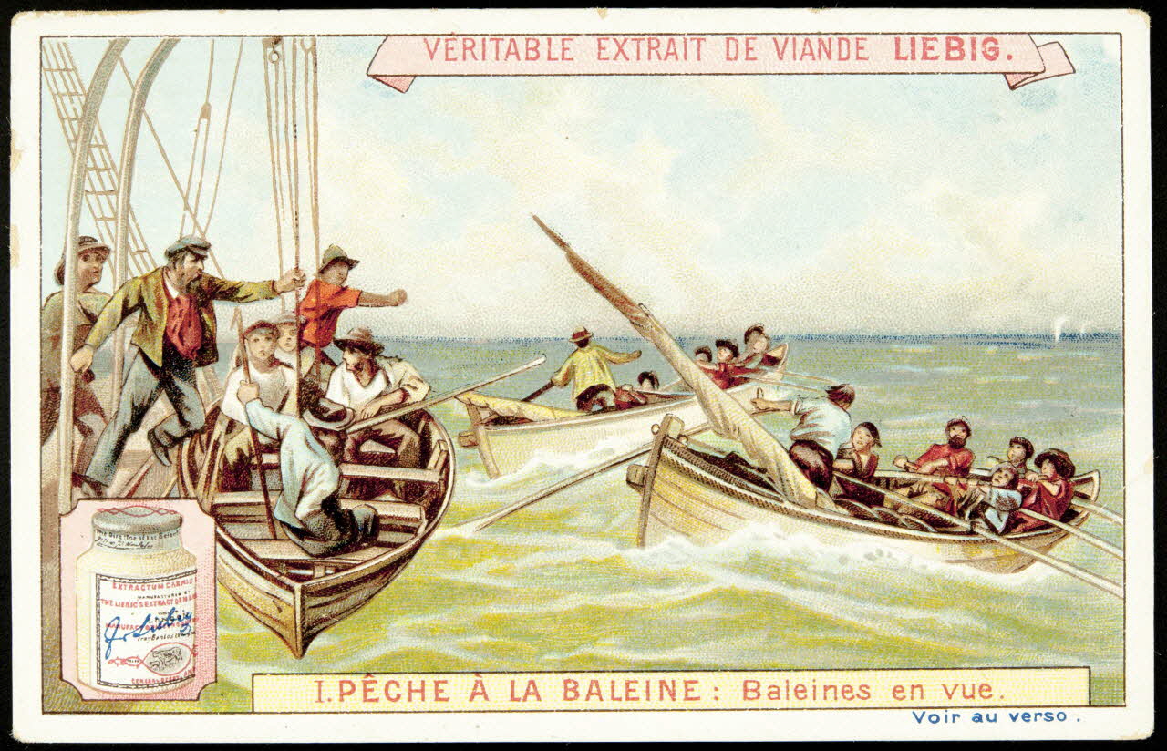 Liebig carte réclame chromo Anvers 1898 1995.1.875.1 Photo