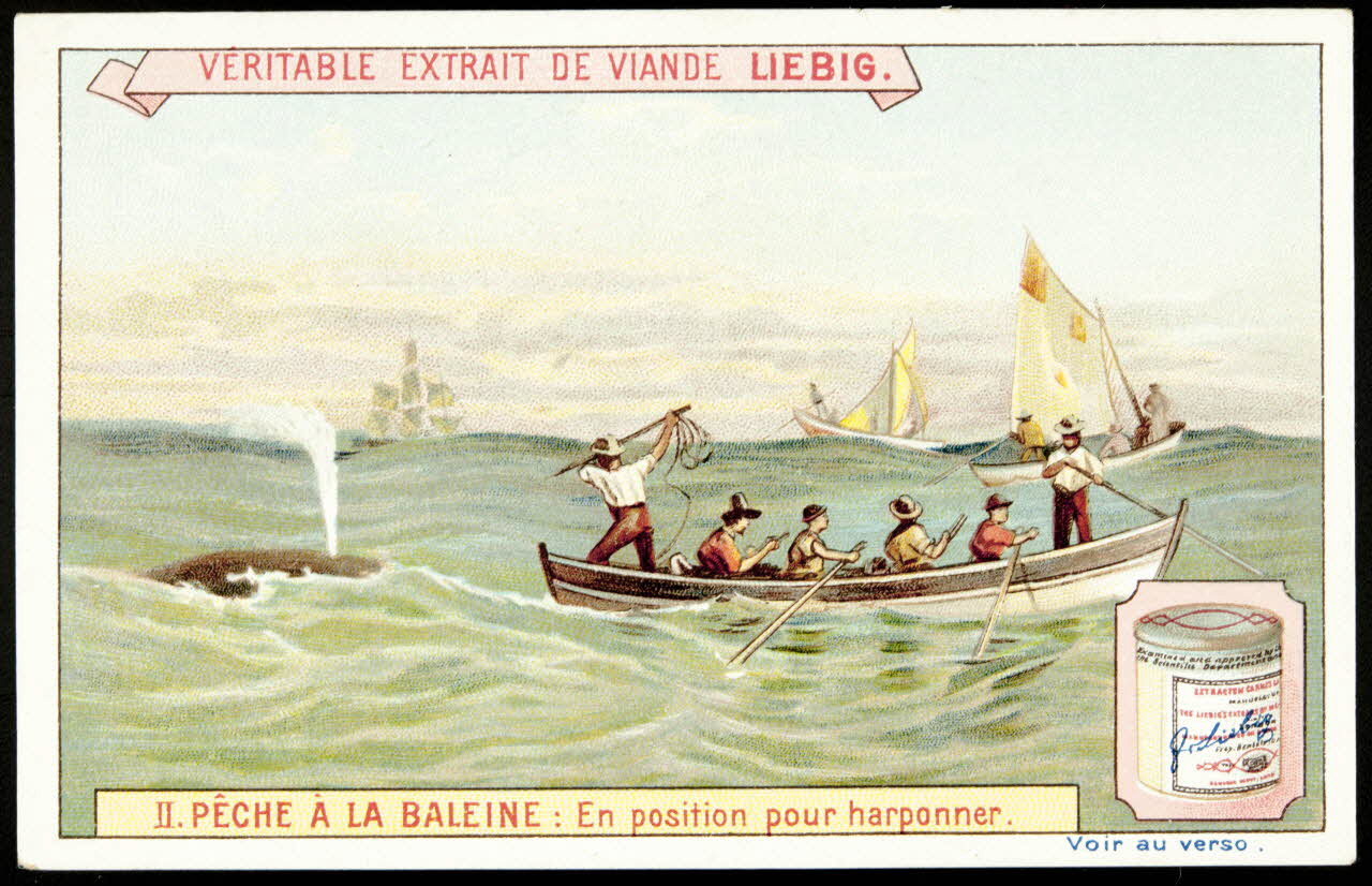 Liebig carte réclame chromo Anvers 1898 1995.1.875.2 Photo