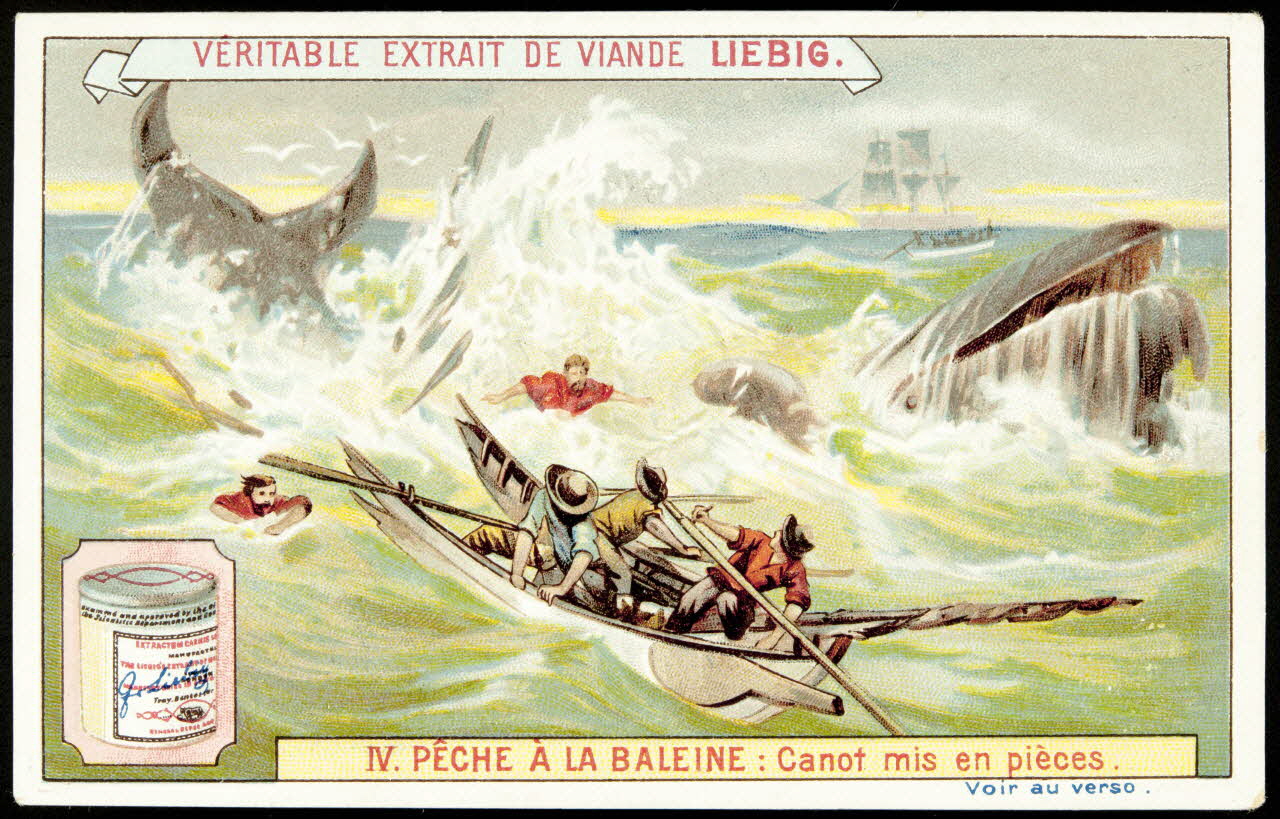 Liebig carte réclame chromo Anvers 1898 1995.1.875.4 Photo