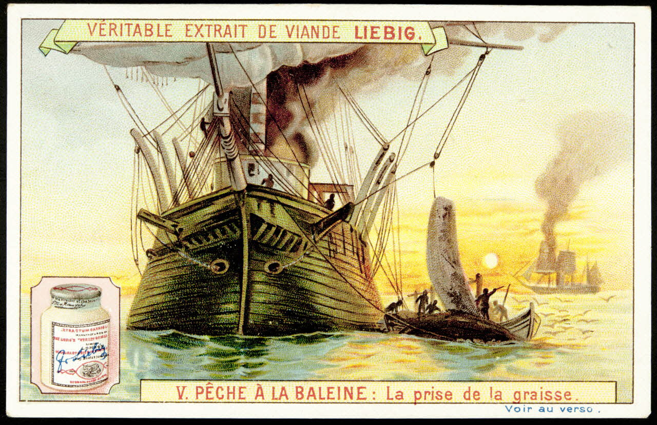 Liebig carte réclame chromo Anvers 1898 1995.1.875.5 Photo