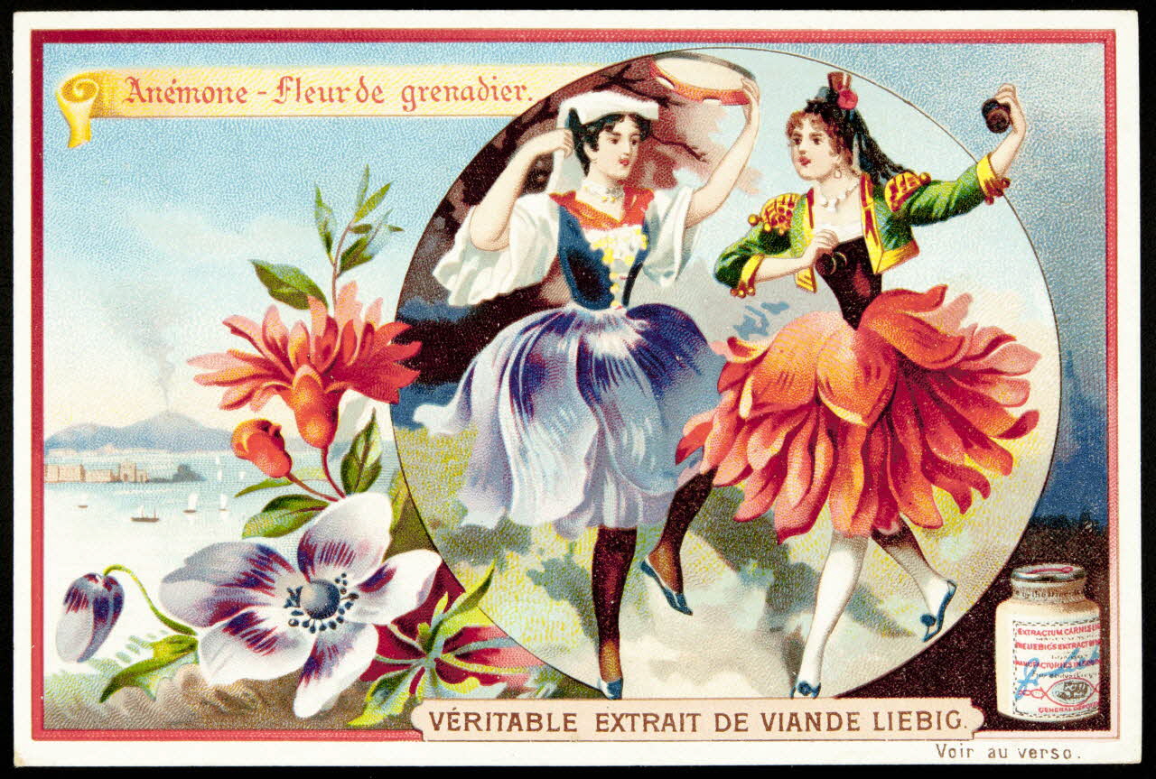 Liebig carte réclame chromo 1898 1995.1.877.2 Photo