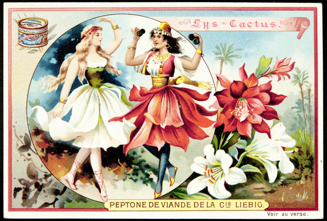 Liebig carte réclame chromo 1898 1995.1.877.3 Photo