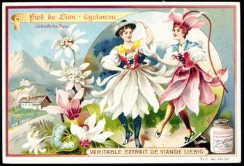 Liebig carte réclame chromo 1898 1995.1.877.4  Photo