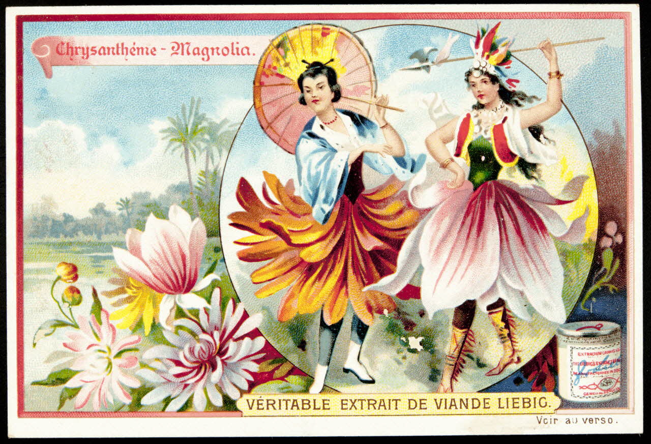Liebig carte réclame chromo 1898 1995.1.877.6 Photo
