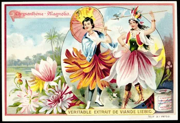 Liebig carte réclame chromo 1898 1995.1.877.6 Photo