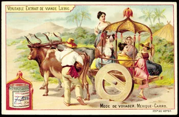 Liebig carte réclame chromo Anvers 1898 1995.1.881.3 Photo