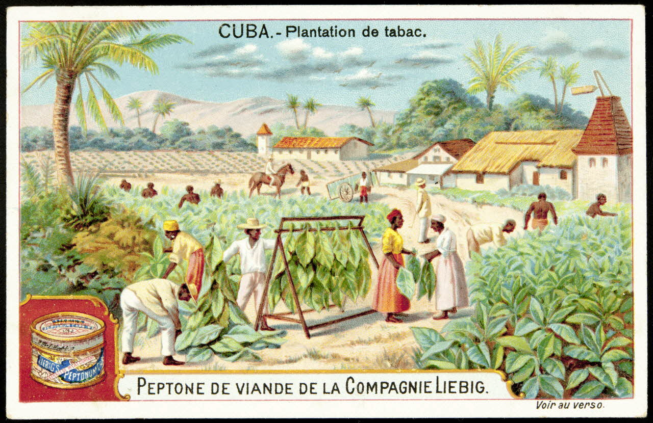 Liebig carte réclame chromo Anvers 1899 1995.1.882.1 Photo (c) Mucem