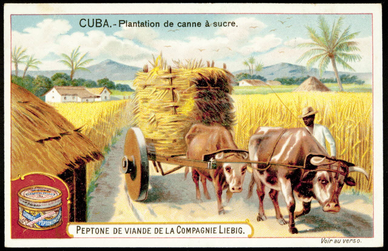 Liebig carte réclame chromo Belgique 1899 1995.1.882.2 Photo (c) Mucem