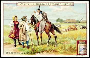Liebig carte réclame chromo Anvers 1899 1995.1.883.4 Photo