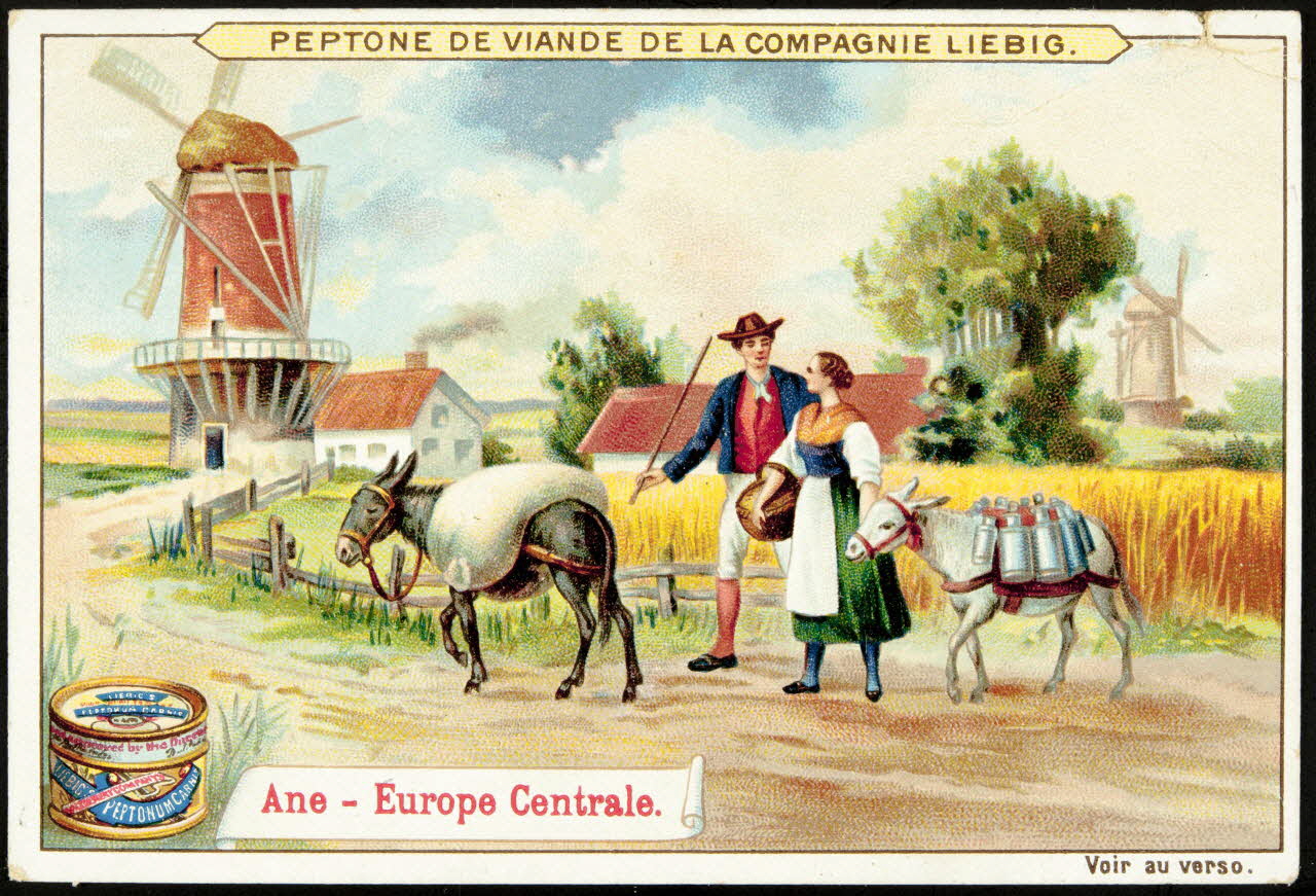 Liebig carte réclame chromo Anvers 1899 1995.1.887.4 Photo