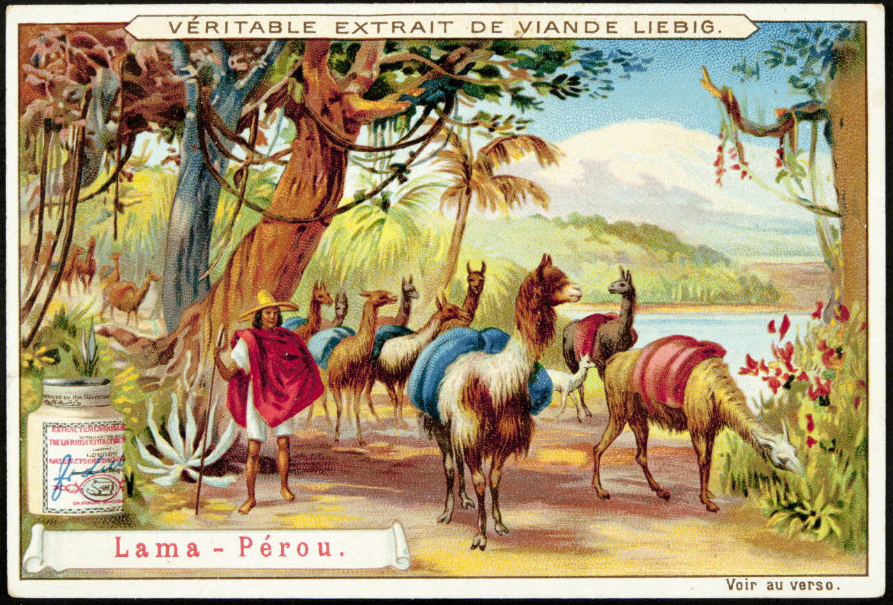 Liebig carte réclame chromo Anvers 1899 1995.1.887.5 Photo