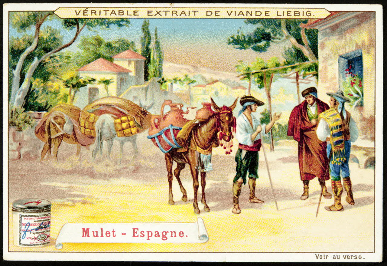 Liebig carte réclame chromo Anvers 1899 1995.1.887.6 Photo