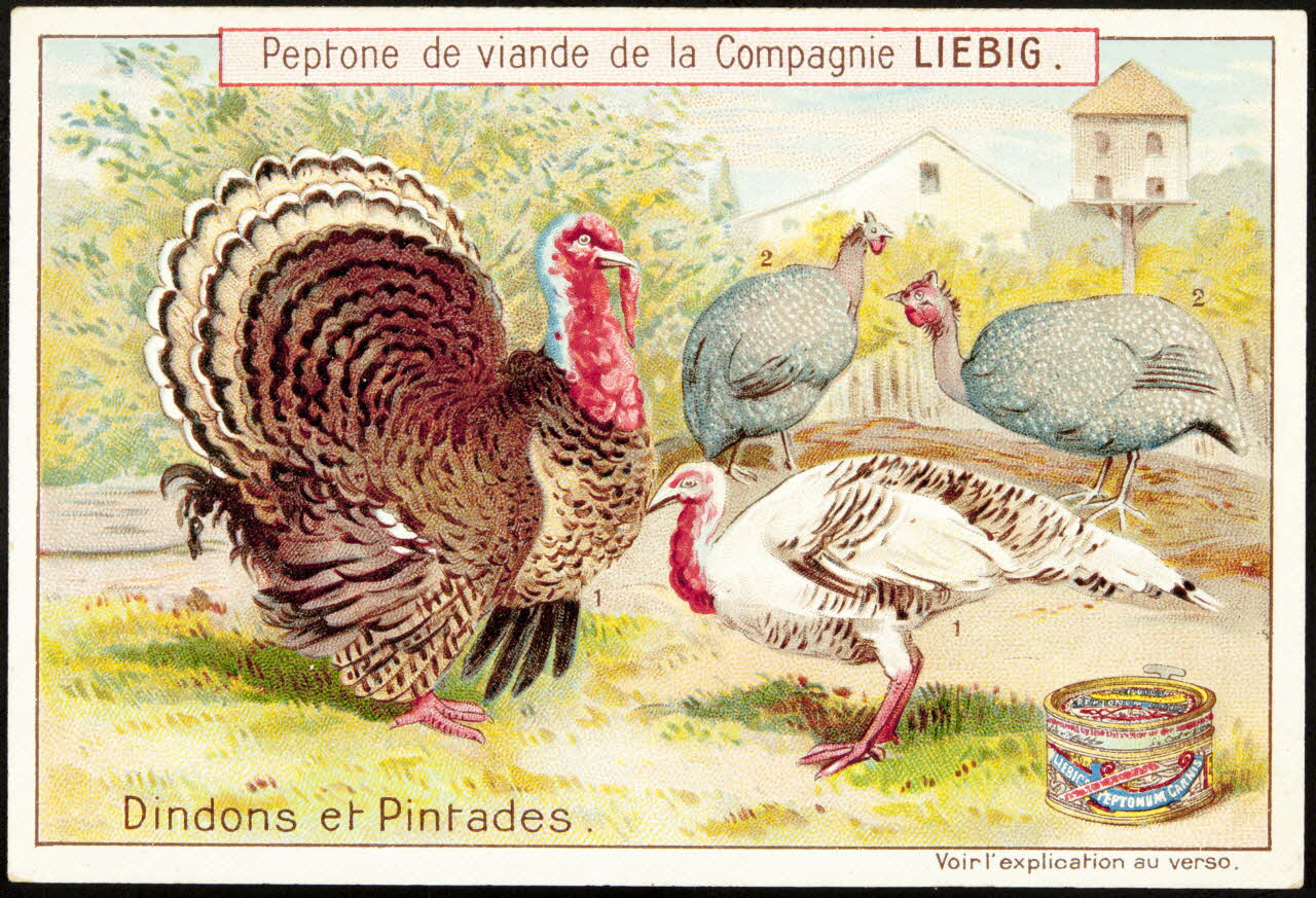 Liebig carte réclame chromo Anvers 1899 1995.1.888.2 Photo
