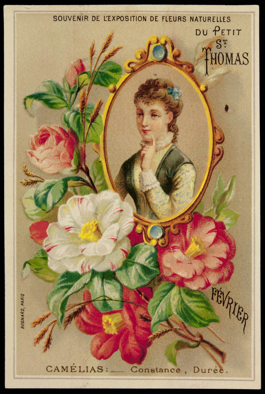 Bognard carte réclame chromo Paris 1876-1890 1995.1.89.1  Photo
