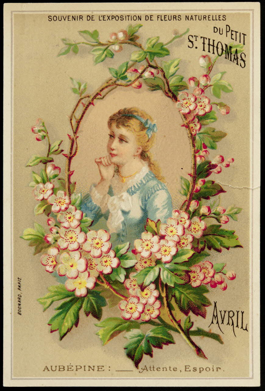 Bognard carte réclame chromo Paris 1876-1890 1995.1.89.3 Photo