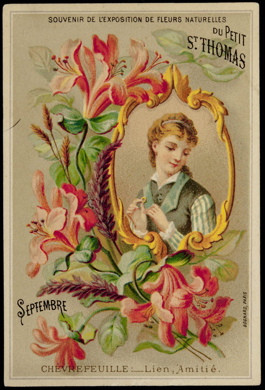 Bognard carte réclame chromo Paris 1876-1890 1995.1.89.7 Photo