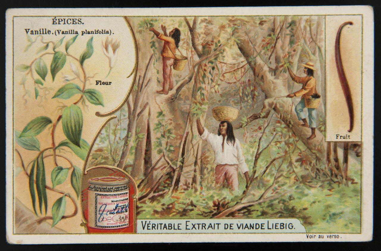 carte réclame chromo Anvers 1902 1995.1.921.5 Photo