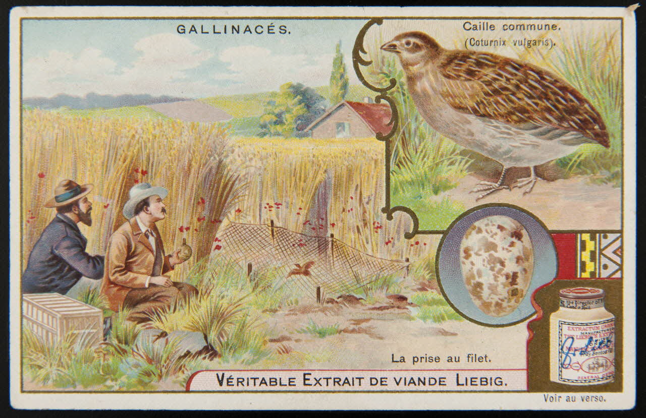 carte réclame chromo Anvers 1902 1995.1.922.1 Photo