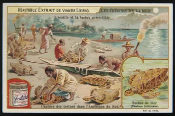 carte réclame chromo Anvers 1902 1995.1.928.5 Photo